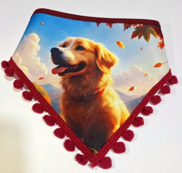 Kit bandana Outono/Inverno - Image 11