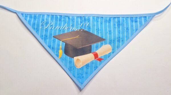 Bandanas comemorativas Formatura azul 01