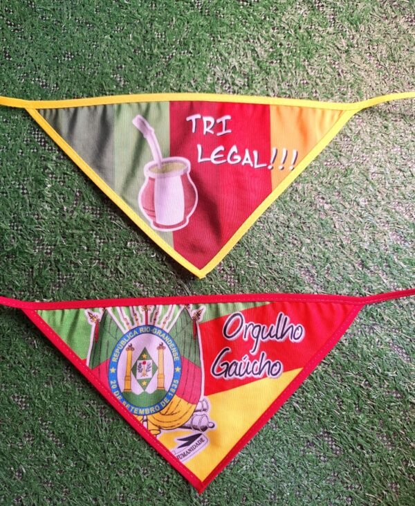 Bandanas 20 de setembro Grande - Image 2