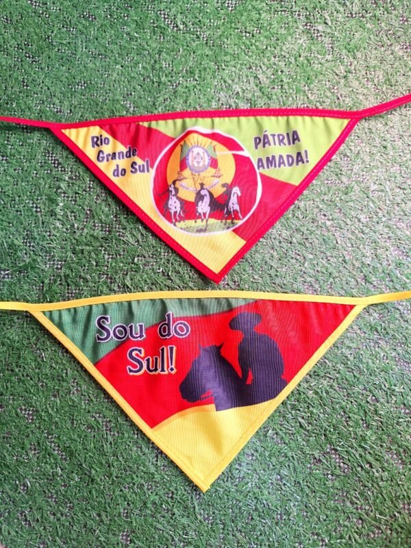 Bandanas 20 de setembro Grande - Image 3
