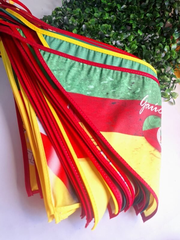 Bandanas 20 de setembro Grande